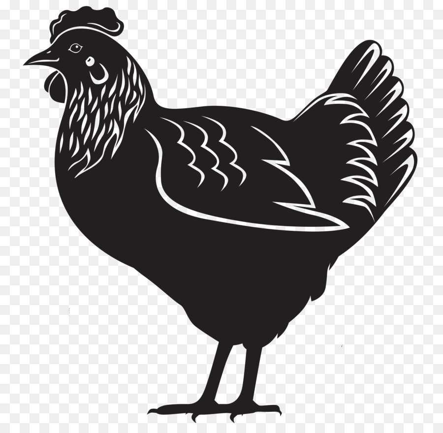 Chicken Royalty-free - hen png download - 3908*3736 - Free Transparent Chicken png Download.