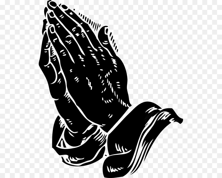 Praying Hands Prayer Religion Clip art - prayinghandshdimages png download - 585*720 - Free Transparent Praying Hands png Download.