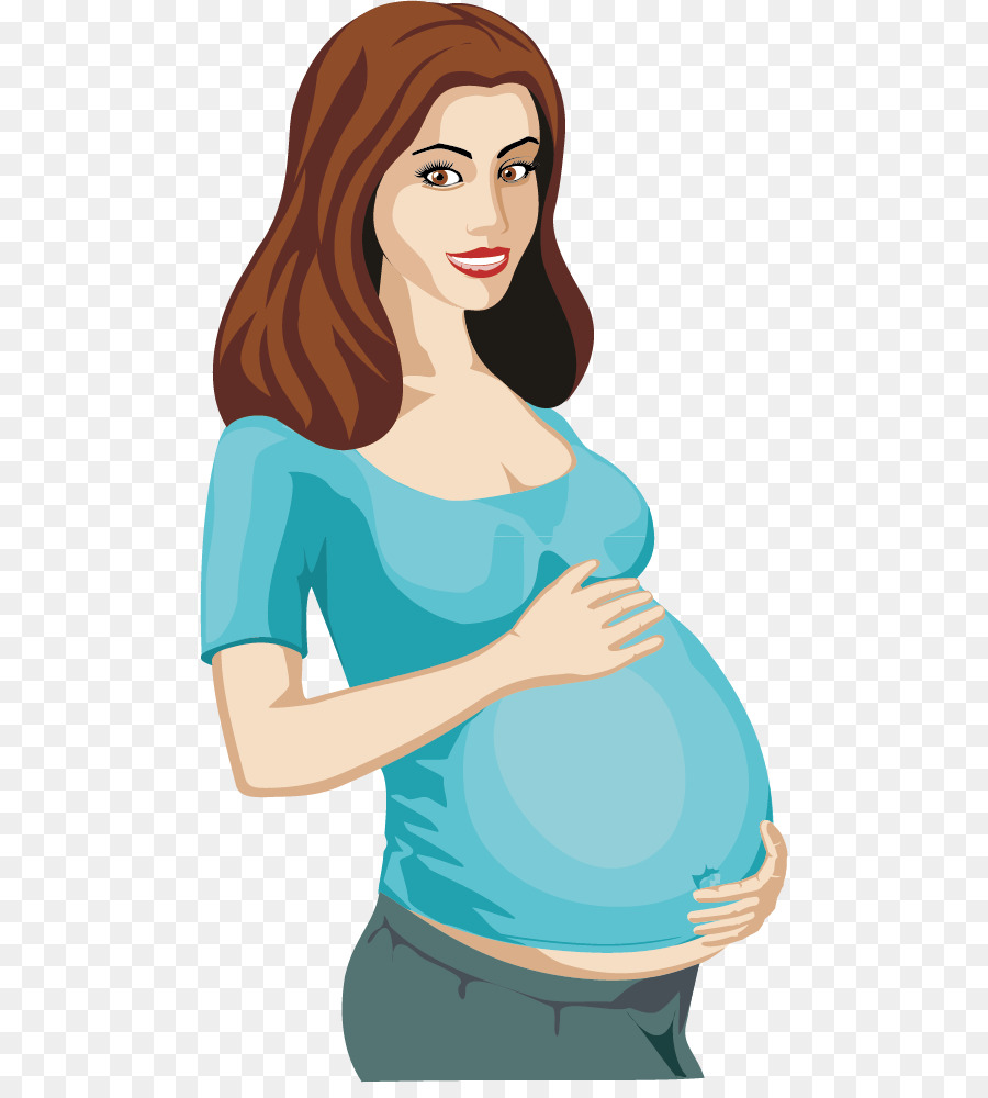 Pregnancy Woman Clip art - Pregnant women vector material png download - 536*986 - Free Transparent  png Download.