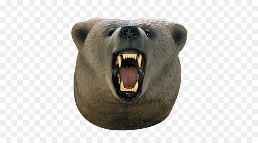 Grizzly bear Brown bear Snout Head - bear png download - 500*500 - Free Transparent Grizzly Bear png Download.