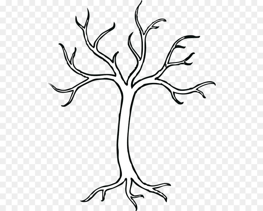 Tree Drawing Clip art - tree png download - 576*720 - Free Transparent Tree png Download.