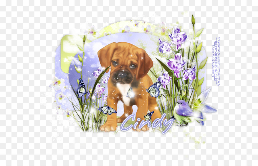 Puggle Puppy Boxer Dog breed Companion dog - puppy png download - 650*580 - Free Transparent Puggle png Download.