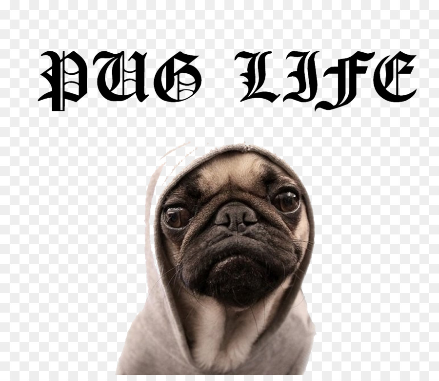 Puggle T-shirt Puppy Dog breed - Pug Life PNG File png download - 1200*1024 - Free Transparent Pug png Download.