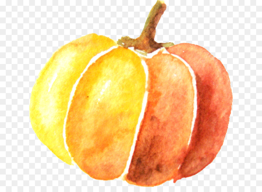 Pumpkin Watercolor painting - Watercolor pumpkin png download - 700*643 - Free Transparent Pumpkin png Download.