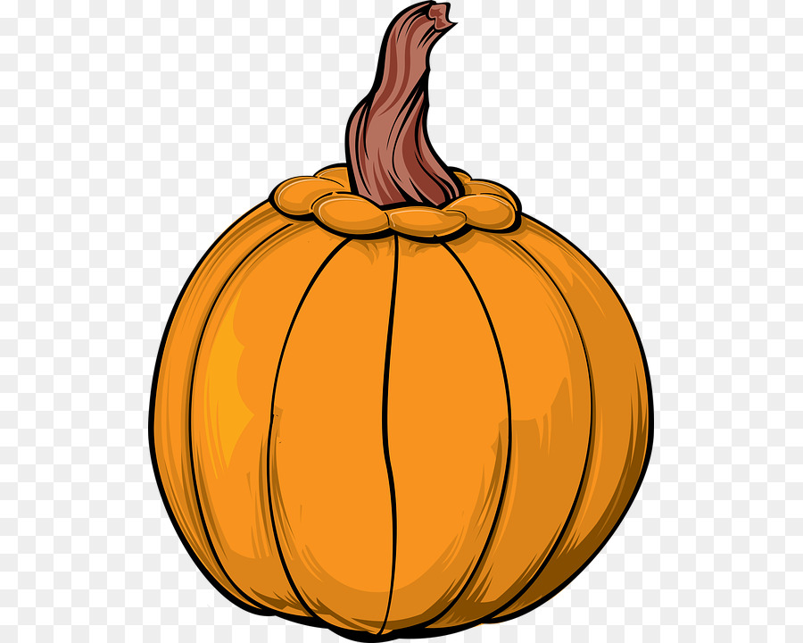 Vector graphics Clip art Portable Network Graphics Pumpkin Image - pumpkin png download - 567*720 - Free Transparent Pumpkin png Download.