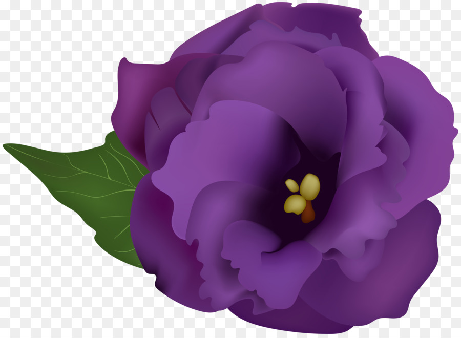 Purple Drawing Clip art - purple flower png download - 8000*5833 - Free Transparent Purple png Download.