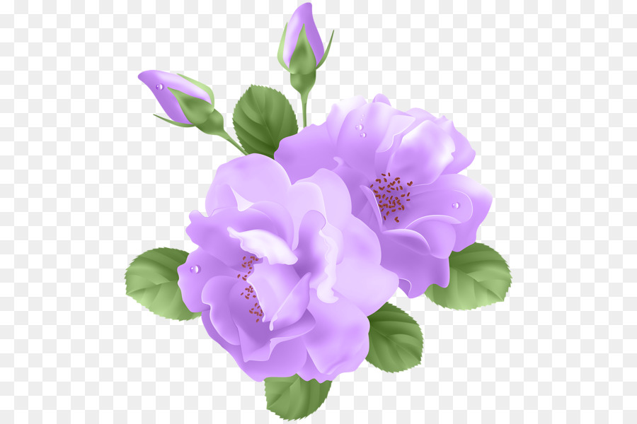 Rose Purple Flower Clip art - purple flowers png download - 556*600 - Free Transparent Rose png Download.
