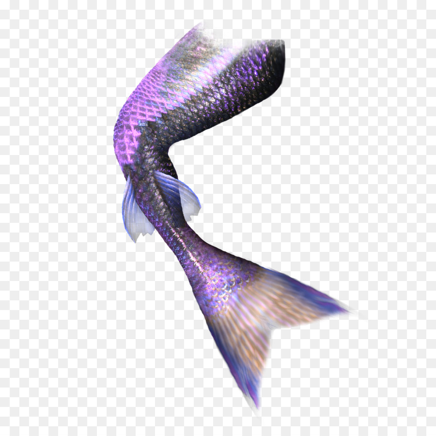 Mermaid Tail Computer file - Pretty purple mermaid tail png download - 2000*2000 - Free Transparent Mermaid png Download.
