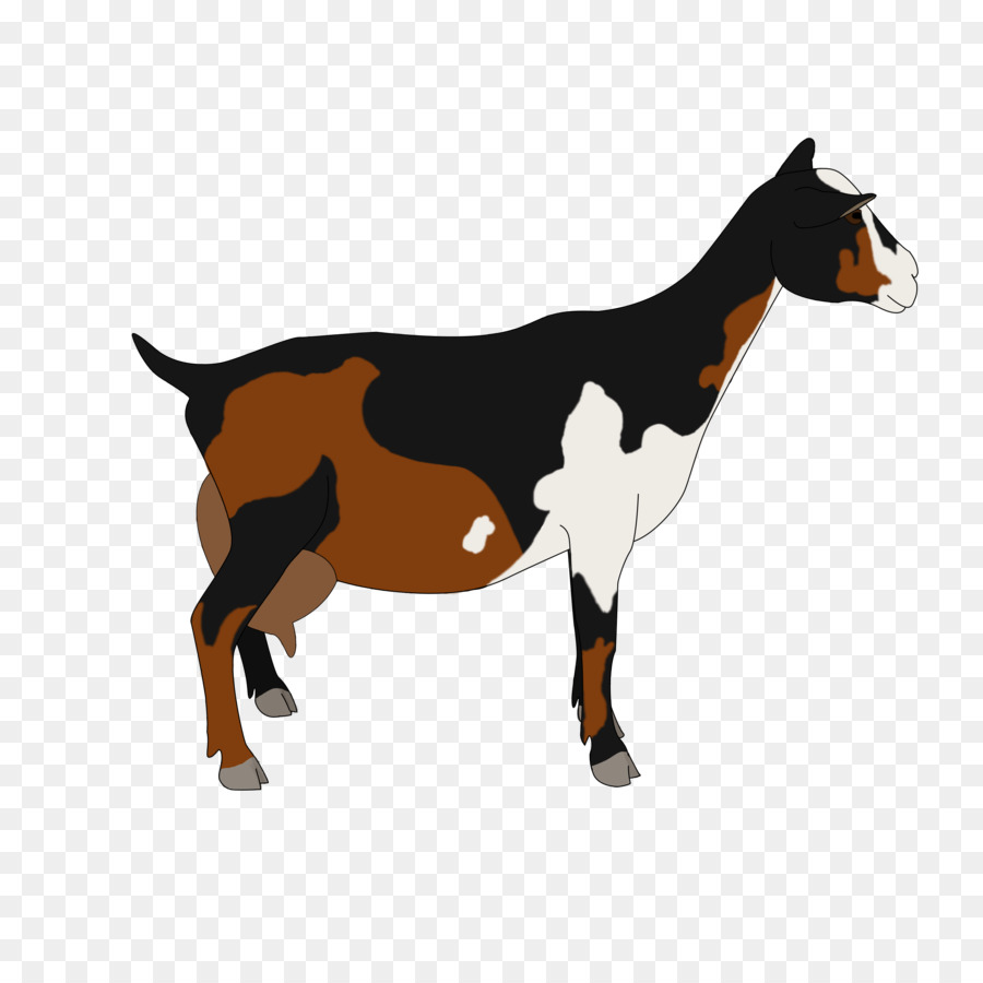 Nigerian Dwarf goat Pygmy goat Cattle Drawing Caprinae - Dwarf png download - 900*900 - Free Transparent Nigerian Dwarf Goat png Download.