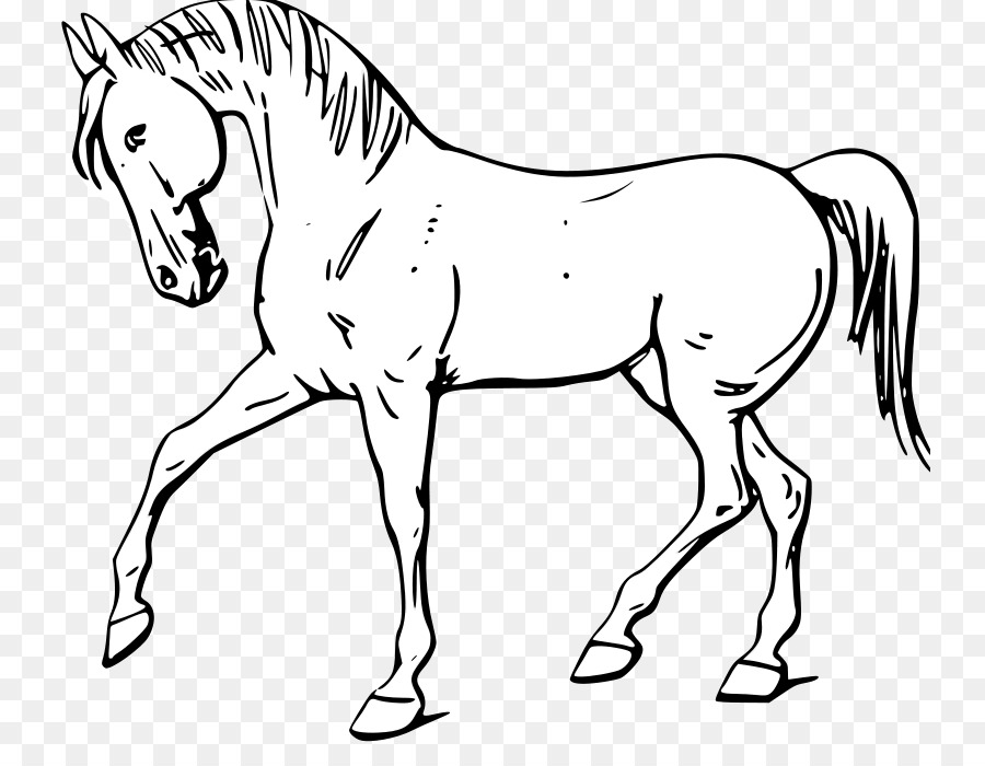 Mustang American Quarter Horse White Black Clip art - Printable Horse Outline png download - 800*685 - Free Transparent Mustang png Download.