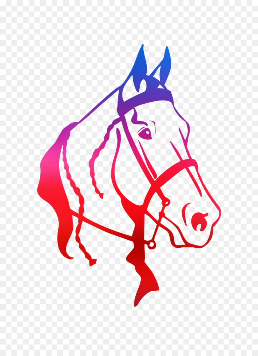 Arabian horse American Quarter Horse Clip art Illustration Portable Network Graphics -  png download - 1400*1900 - Free Transparent Arabian Horse png Download.