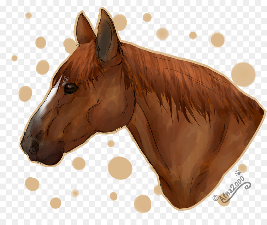 American Quarter Horse Stallion Pony Horse head mask Animation - shading clipart png download - 900*742 - Free Transparent American Quarter Horse png Download.
