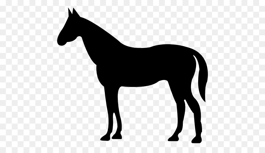 American Quarter Horse Clip art - Silhouette png download - 512*512 - Free Transparent American Quarter Horse png Download.