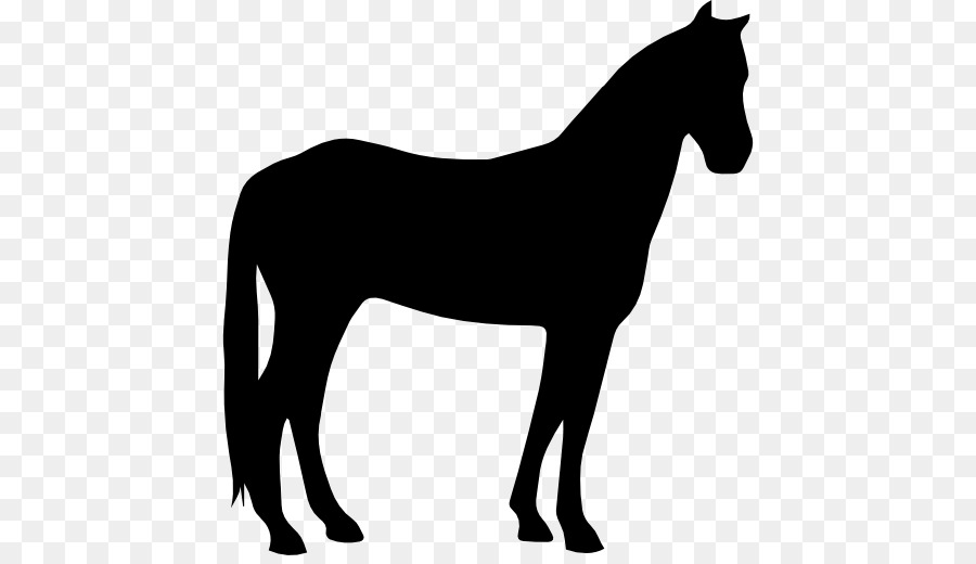 Criollo horse Arabian horse American Paint Horse American Quarter Horse Howrse - horse silhouette png download - 512*512 - Free Transparent Criollo Horse png Download.