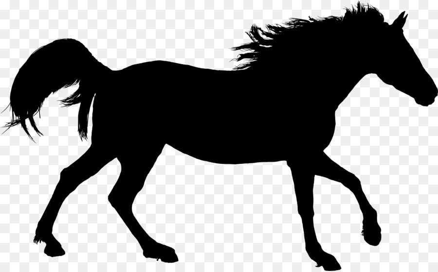 American Quarter Horse Equestrian Clip art - Silhouette png download - 2292*1420 - Free Transparent American Quarter Horse png Download.