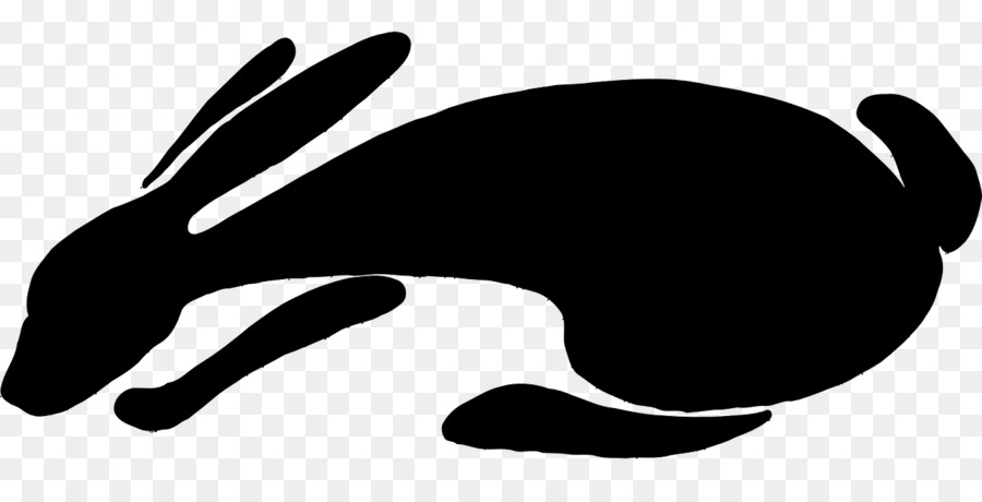 The Tale of Peter Rabbit Clip art - rabbit png download - 1280*640 - Free Transparent Rabbit png Download.