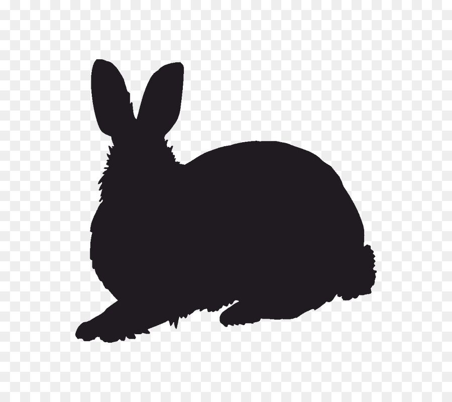 Domestic rabbit Silhouette Hare Stencil - Silhouette png download - 800*800 - Free Transparent Domestic Rabbit png Download.