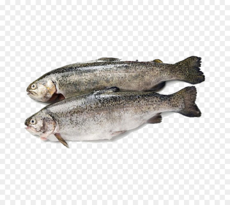 Fish products Rainbow trout Sardine - fish png download - 800*800 - Free Transparent Fish Products png Download.