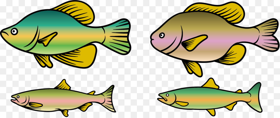 Rainbow trout Fish Clip art - Economic Fishes png download - 2388*1001 - Free Transparent Rainbow Trout png Download.