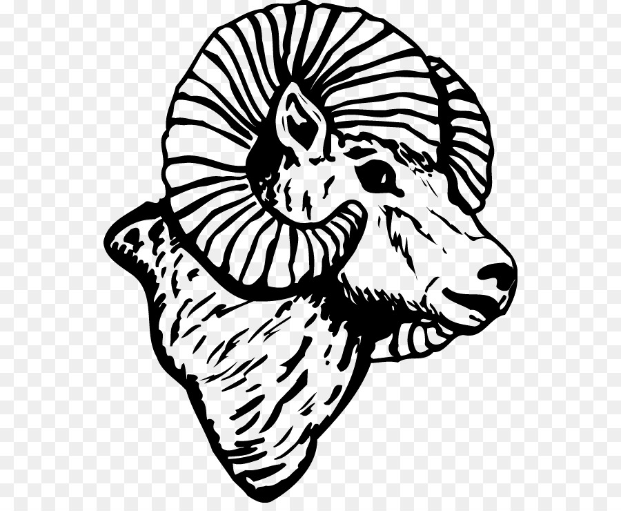 Clip art Sheep Ram Trucks Drawing Image - sheep png download - 600*728 - Free Transparent  png Download.
