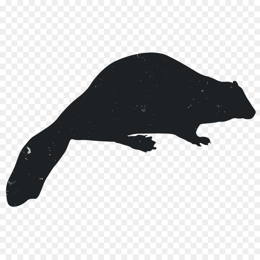 Silhouette Rat Animal Carnivora Black - Animal Silhouettes png download - 3600*3600 - Free Transparent Silhouette png Download.