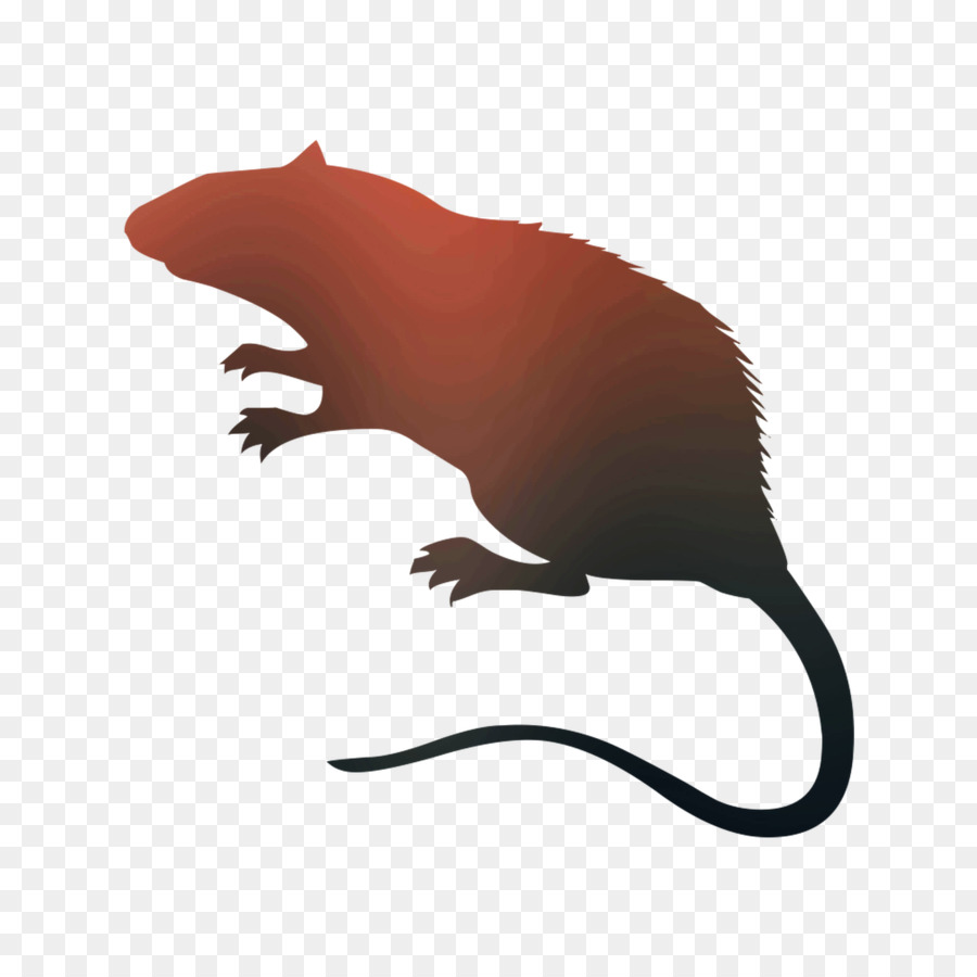 Rat Vector graphics Royalty-free Silhouette Stock photography -  png download - 1400*1400 - Free Transparent Rat png Download.