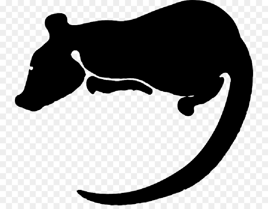 Clip art Rat Vector graphics Silhouette Free content - laboratories silhouette png download - 800*688 - Free Transparent Rat png Download.