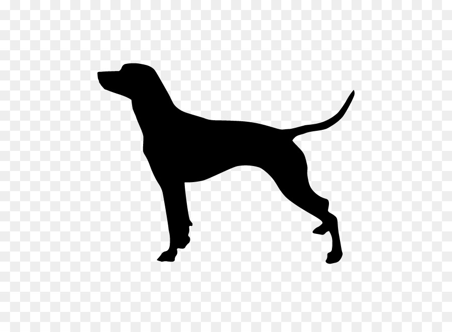 Rat Terrier Smooth Fox Terrier Scottish Terrier Dog breed - peekapoo frame png download - 650*650 - Free Transparent Rat Terrier png Download.