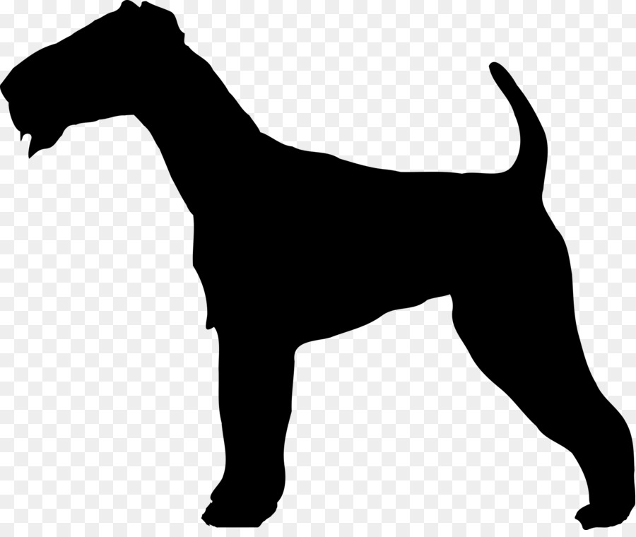 Irish Terrier Border Terrier Yorkshire Terrier Welsh Terrier Jack Russell Terrier - Dog outline png download - 1920*1601 - Free Transparent Irish Terrier png Download.