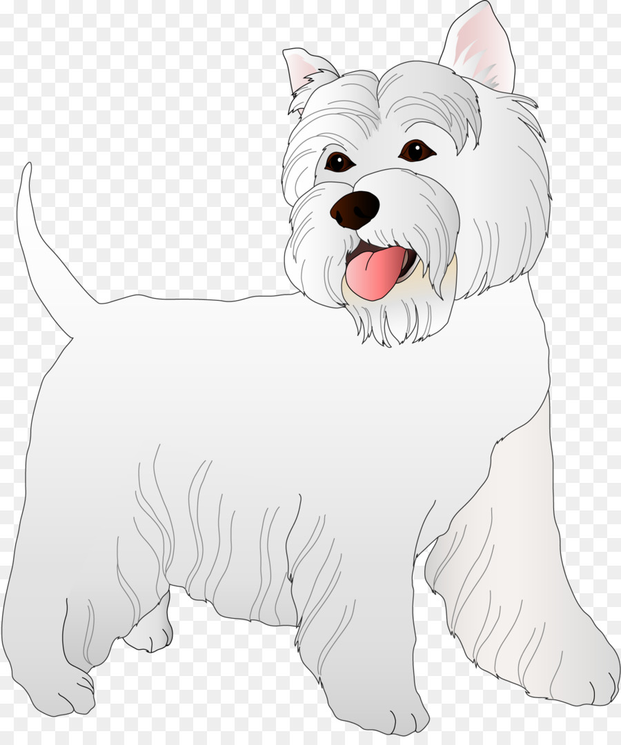 West Highland White Terrier Companion dog Cairn Terrier Rat Terrier Puppy - puppy png download - 1633*1938 - Free Transparent West Highland White Terrier png Download.