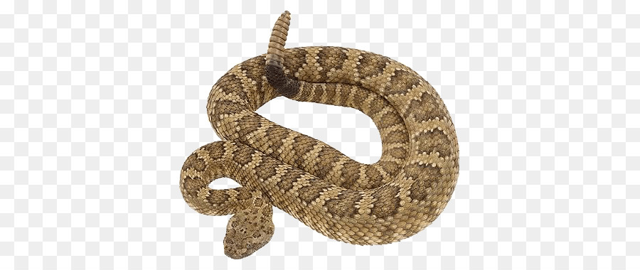 Rattlesnake Vipers Clip art - snake png download - 425*379 - Free Transparent Snake png Download.