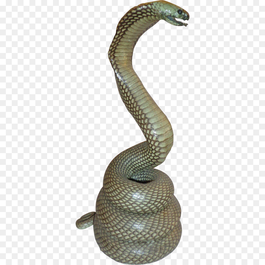 Rattlesnake Reptile King cobra - snake png download - 1535*1535 - Free Transparent Rattlesnake png Download.