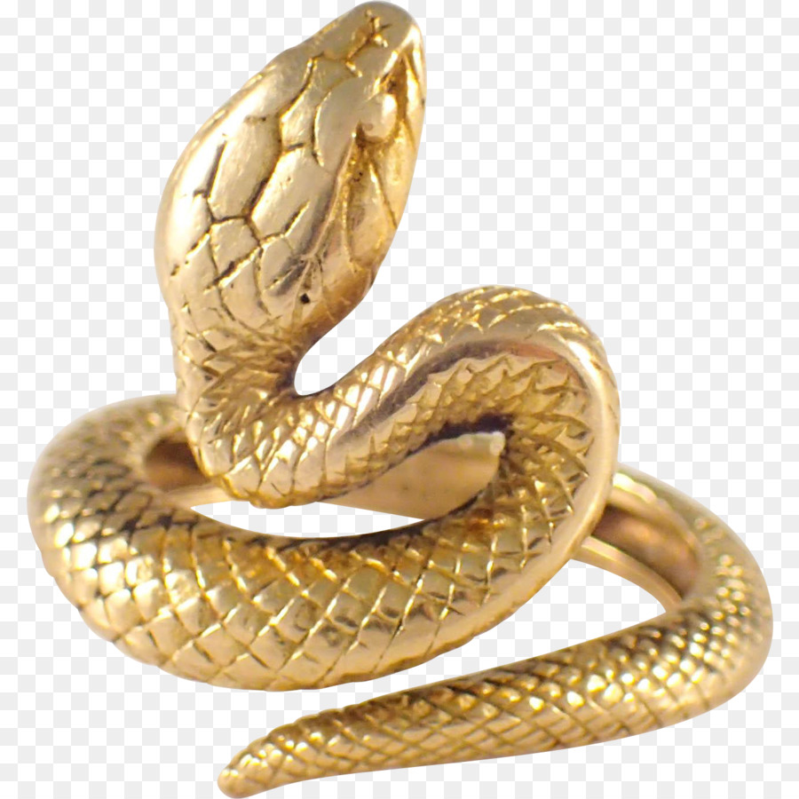 Rattlesnake Gold Reptile Vipers - anaconda png download - 1372*1372 - Free Transparent Snake png Download.
