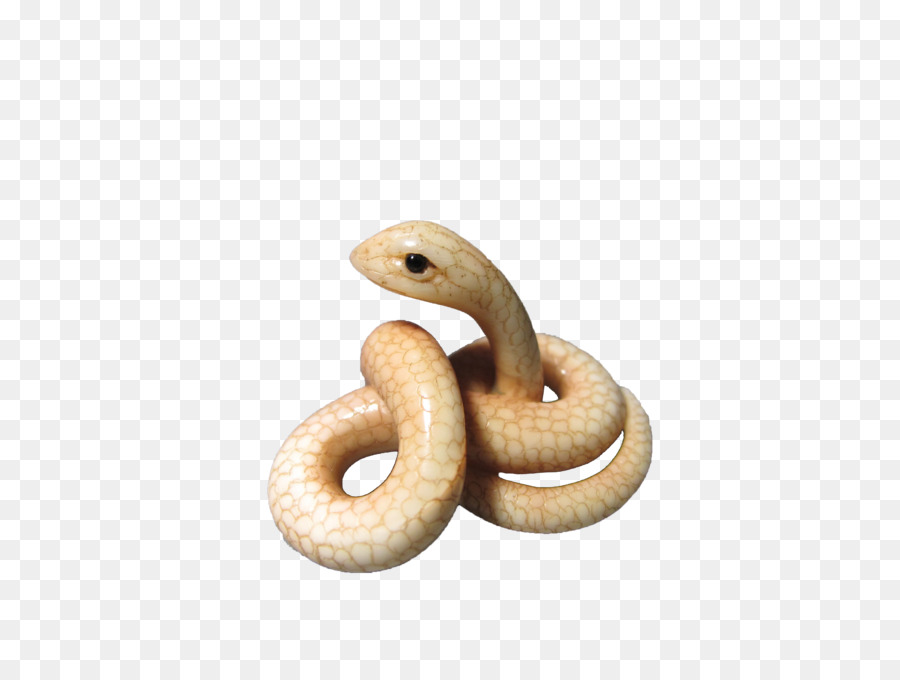 Rattlesnake - White snake png download - 3648*2736 - Free Transparent Rattlesnake png Download.