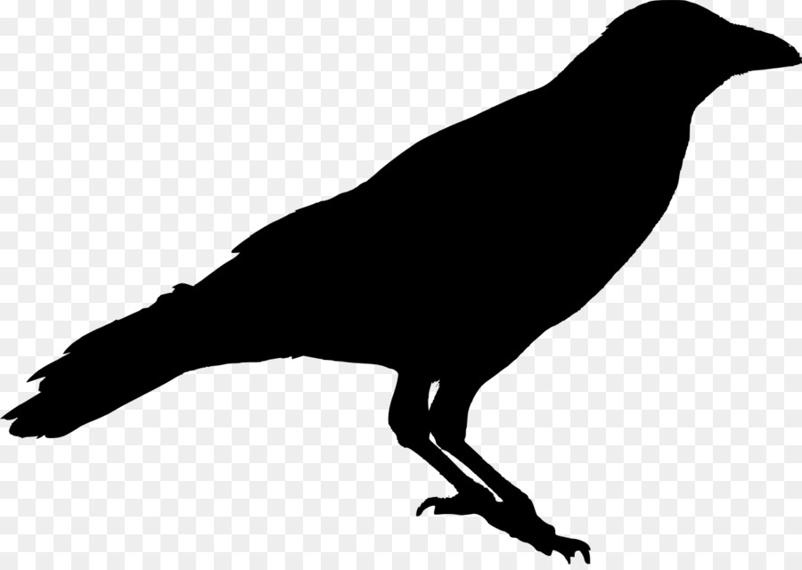 American crow Carrion crow Common raven Silhouette - others png download - 1280*902 - Free Transparent American Crow png Download.