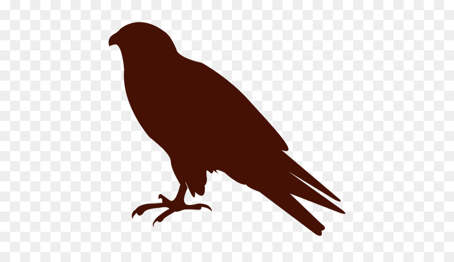 American crow Silhouette Bird Common raven Portable Network Graphics - silhouette png download - 512*512 - Free Transparent American Crow png Download.