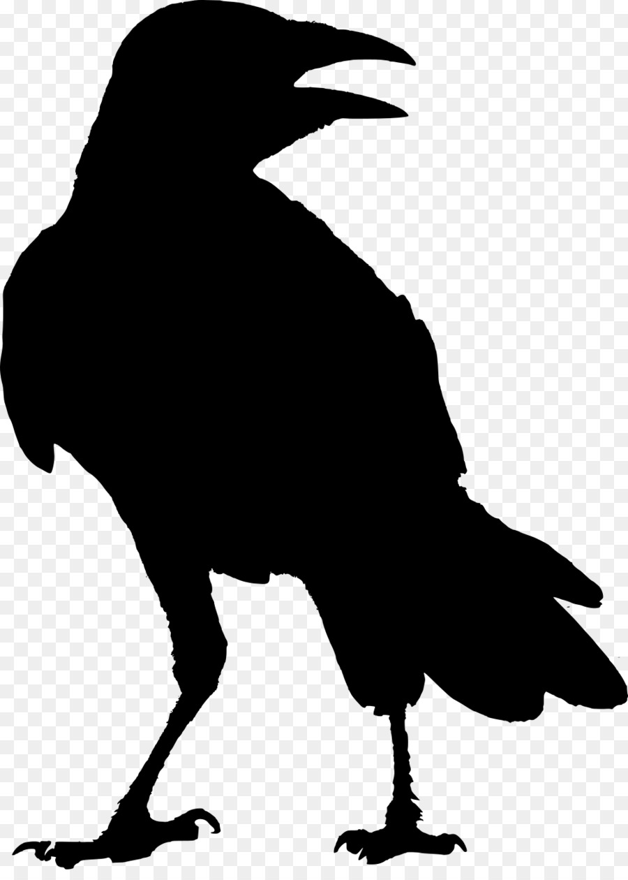The Raven G Whitcoe Designs Crow Odin - raven png download - 1000*1383 - Free Transparent Raven png Download.