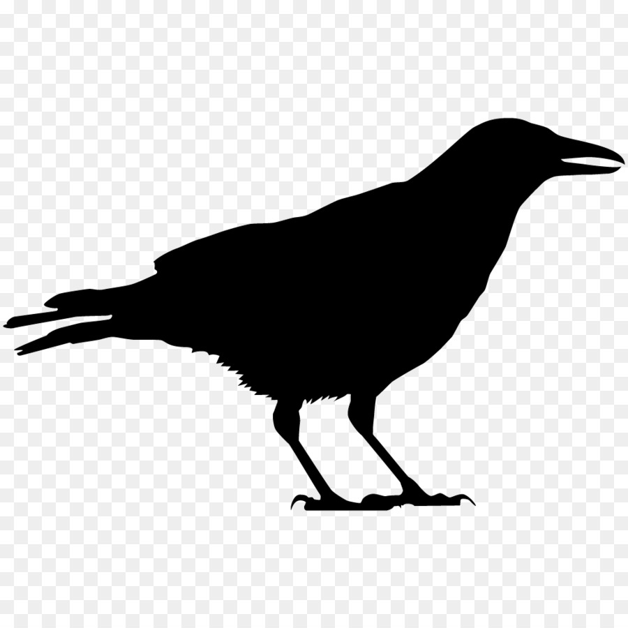 American crow Common raven All About Birds - eat png icon png download - 1024*1024 - Free Transparent American Crow png Download.