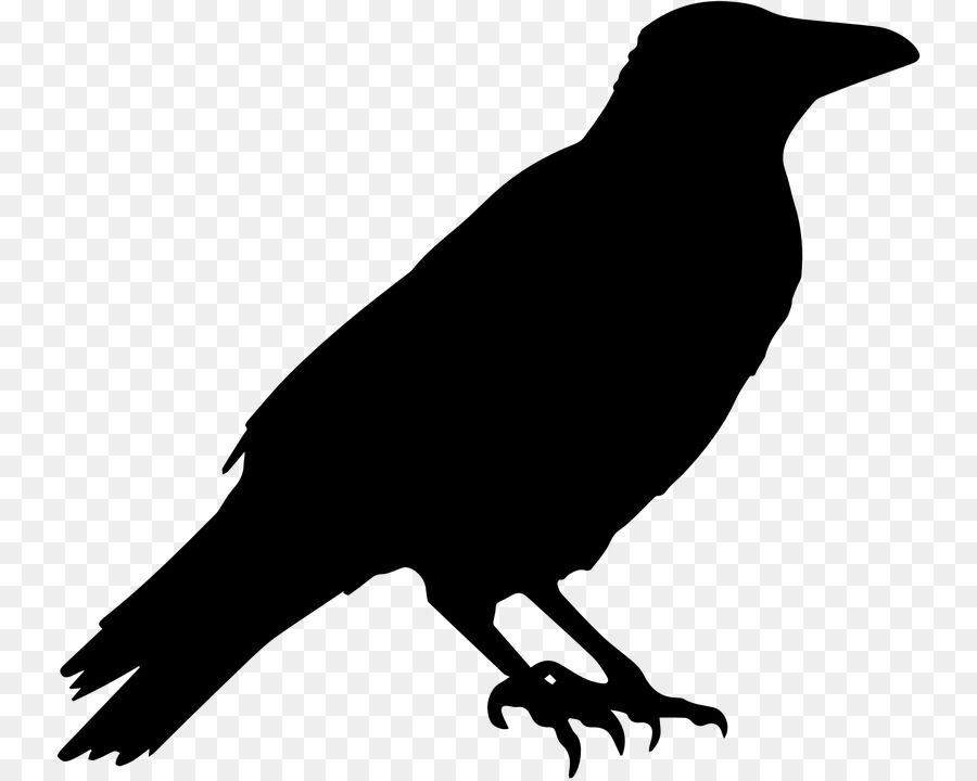 American crow Silhouette Bird Clip art - ALLAN POE png download - 798*720 - Free Transparent American Crow png Download.
