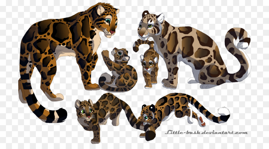 Clouded leopard Pumas Tiger Felidae - leopard png download - 800*490 - Free Transparent Leopard png Download.
