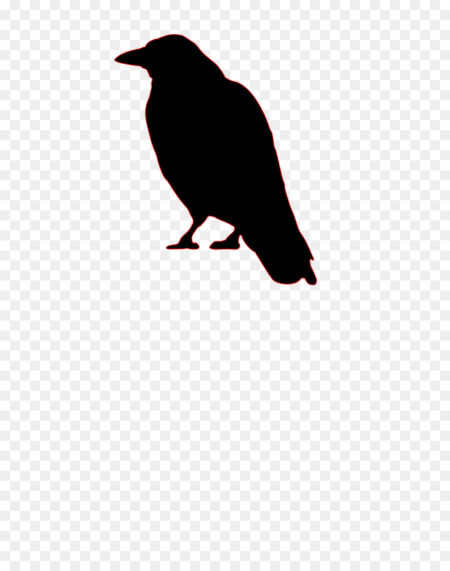 Bird Common raven Crow Silhouette Clip art - Bird png download - 800*1131 - Free Transparent Bird png Download.