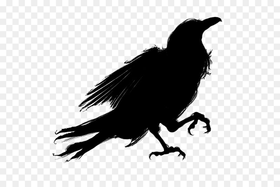 Silhouette Bird American crow - ravens 3d animated png download - 600*600 - Free Transparent Silhouette png Download.