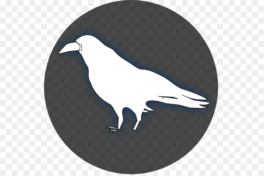 Common raven Baltimore Ravens Drawing Clip art - Raven Cliparts png download - 600*594 - Free Transparent Common Raven png Download.
