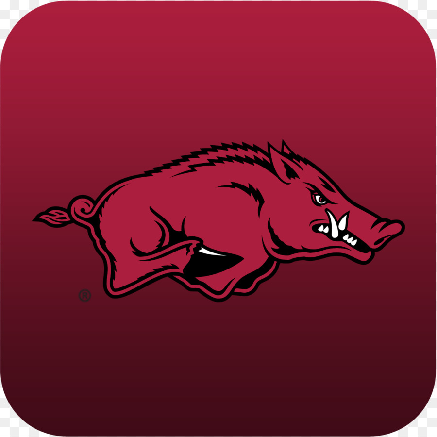 Arkansas Razorbacks football Bud Walton Arena Feral pig Southeastern Conference College Football Hall of Fame - american football png download - 1024*1024 - Free Transparent Arkansas Razorbacks Football png Download.