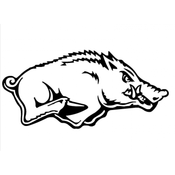 University of Arkansas Arkansas Razorbacks football NCAA Men's Division ...