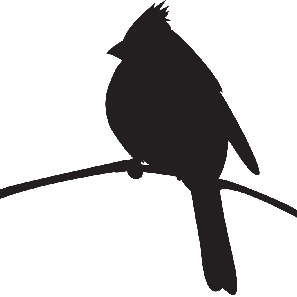 Cornell Lab Of Ornithology Bird Northern Cardinal Pyrrhuloxia