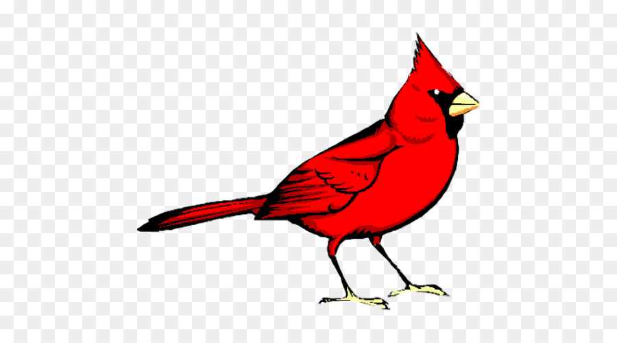 Red Bird Animal Clinic Northern cardinal Clip art Image - bird png download - 500*500 - Free Transparent Bird png Download.