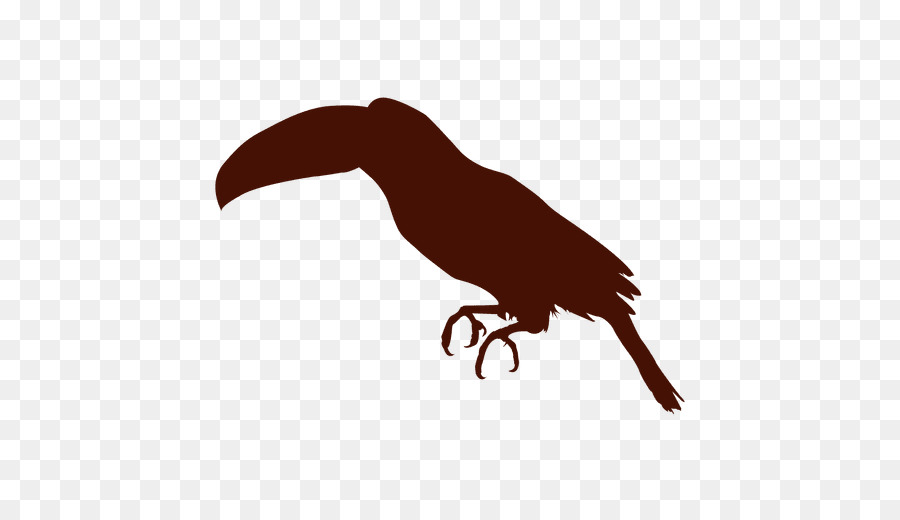 Beak Bird Silhouette Toucan Clip art - Bird png download - 512*512 - Free Transparent Beak png Download.