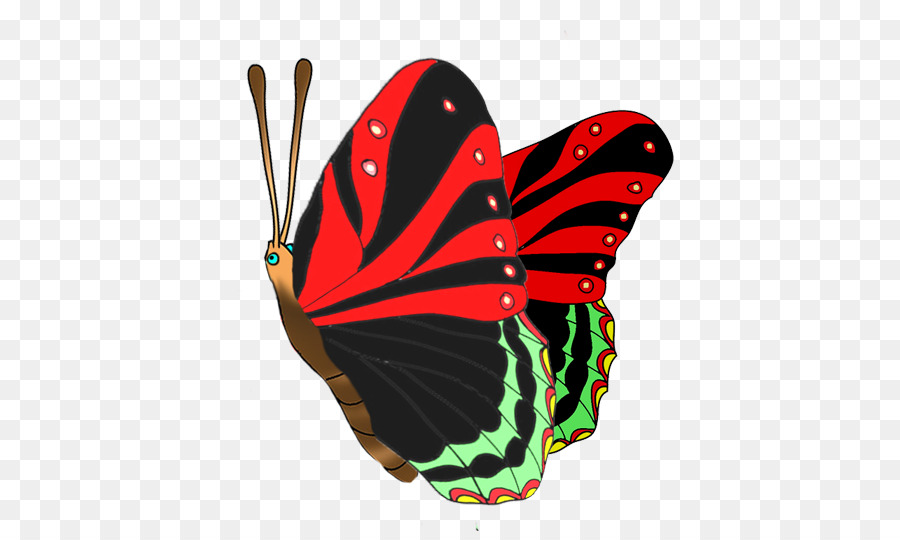 Butterfly Insect Red Clip art - red butterfly png download - 503*531 - Free Transparent Butterfly png Download.
