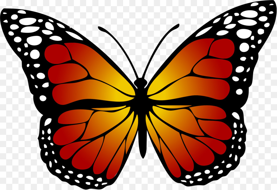 Monarch butterfly Yellow Clip art - red butterfly png download - 2310*1590 - Free Transparent Butterfly png Download.